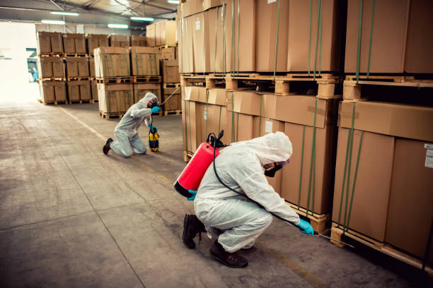 Best Emergency Pest Control  in Mountain Lodge Park, NY