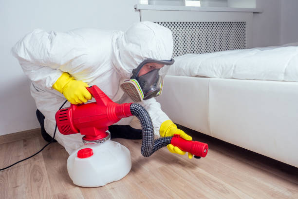 Professional Pest Control in Mountain Lodge Park, NY