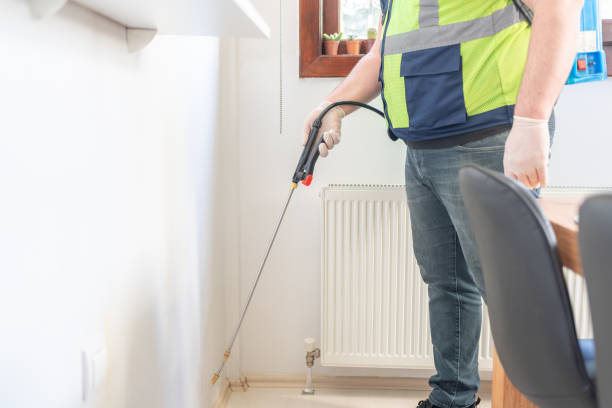 Best Affordable Pest Control Services  in Mountain Lodge Park, NY