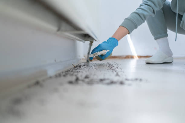 Best Pest Removal Services  in Mountain Lodge Park, NY